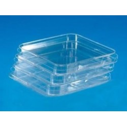 Caja petri cuadrada esteril 12*12cm