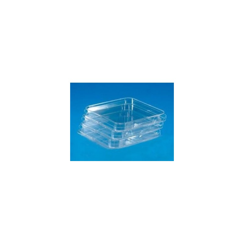 Caja petri cuadrada esteril 12*12cm