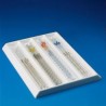 Organizador De Pvc Con 4 Divisiones 10ML