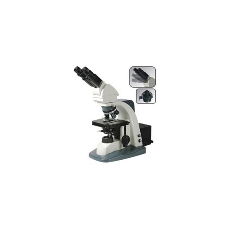 Microscopio Binocular Biologico moc XSZ-136B